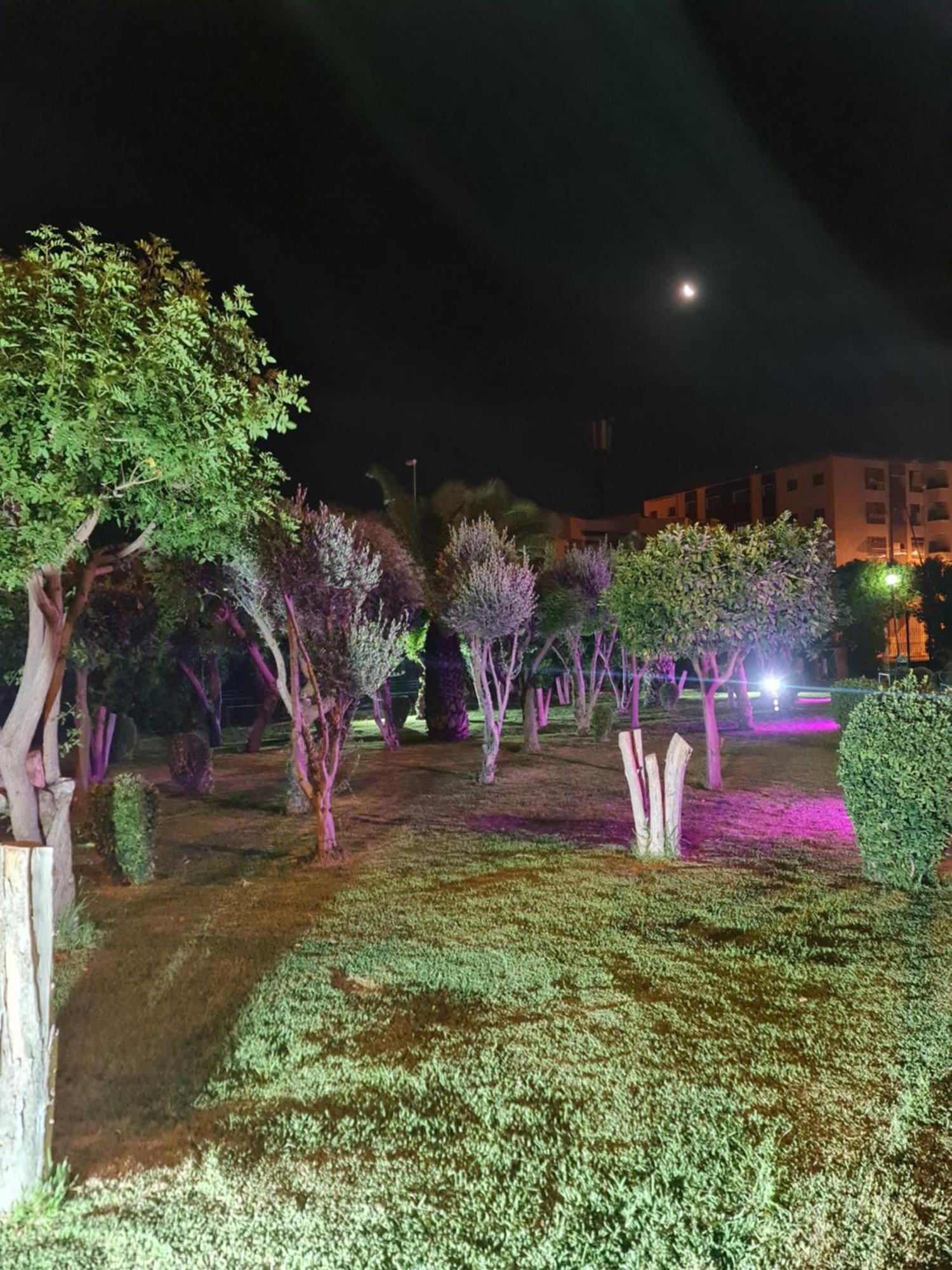 Fes Urban Apartment - Urban Elegance With Garden And Pool Access المظهر الخارجي الصورة